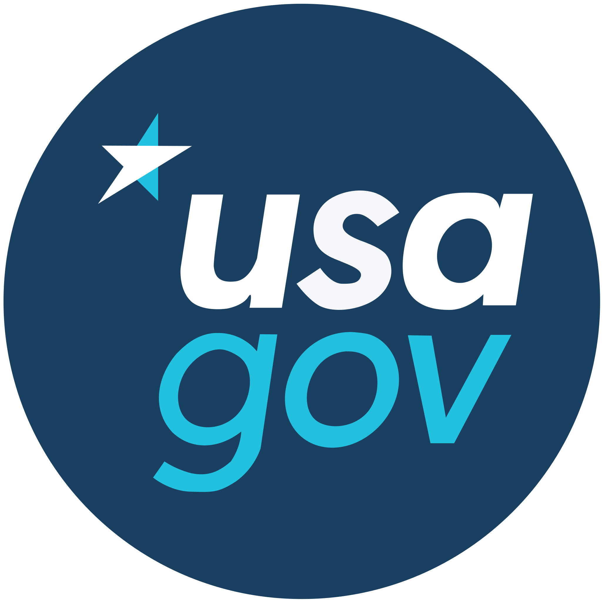 Usagov Logo.Svg