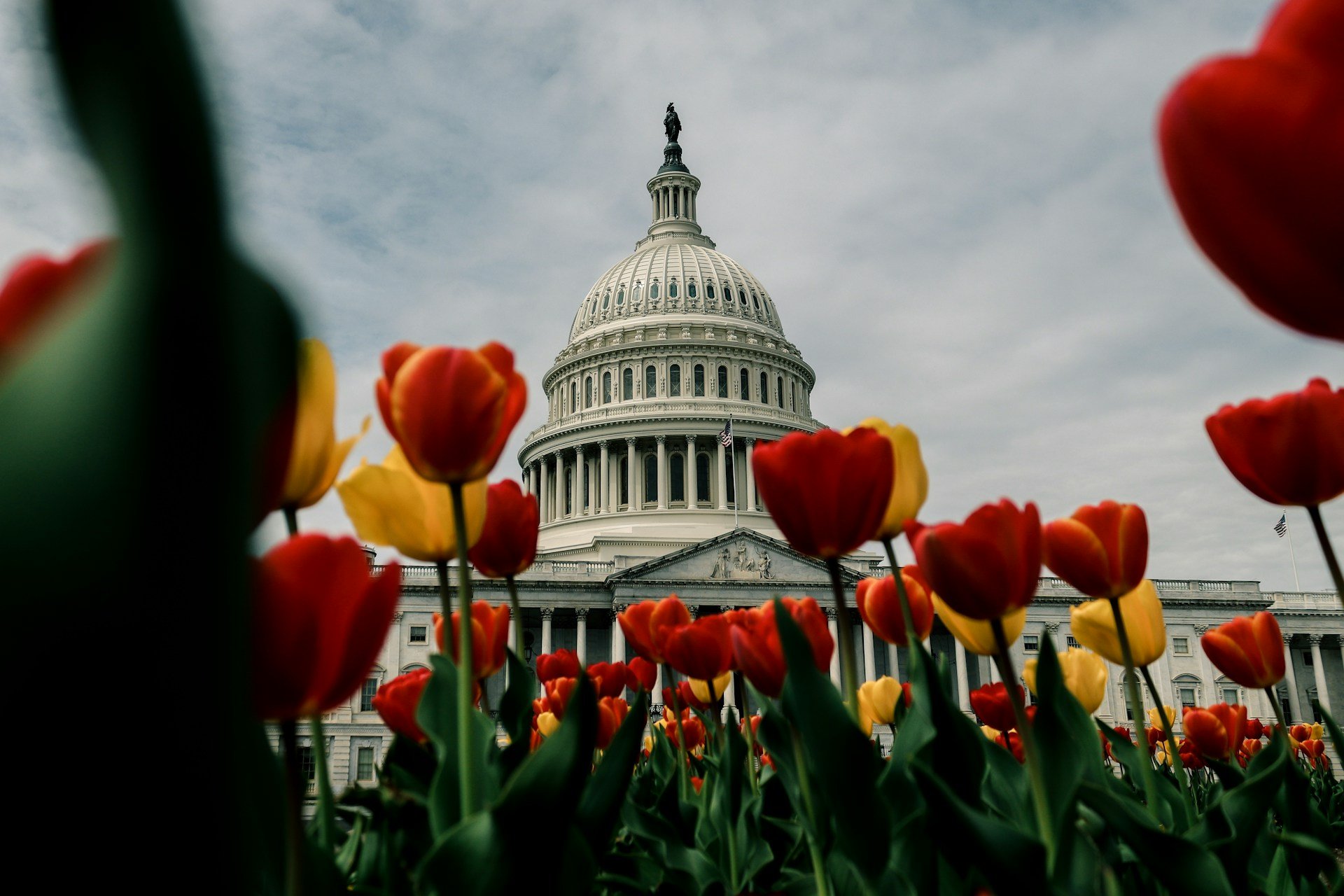 Capitol Placeholder 2