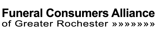 Logo No Lily2