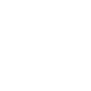 Uaw Logo White Transparent Trademark 300X300